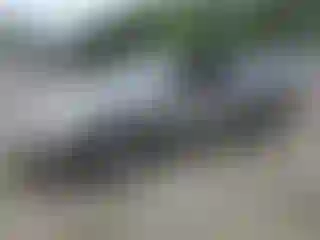 Vehicle Image- 2000 Toyota Camry