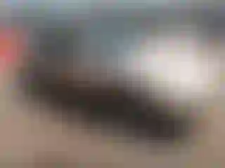 Vehicle Image- 1998 Toyota Camry