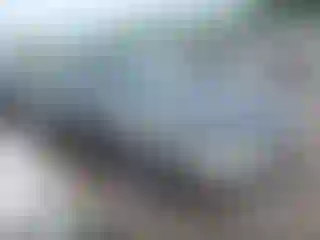Vehicle Image- 1997 Toyota Camry