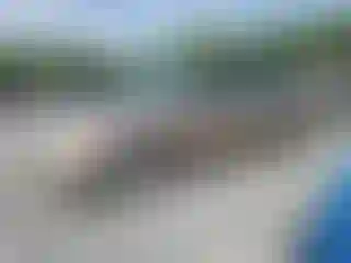 Vehicle Image- 2001 Toyota Avalon