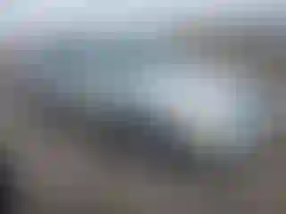 Vehicle Image- 2004 Toyota Avalon