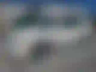 Vehicle Image- 2000 Toyota Avalon