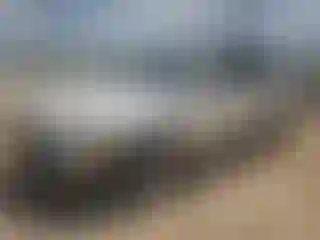 Vehicle Image- 2001 Toyota Avalon