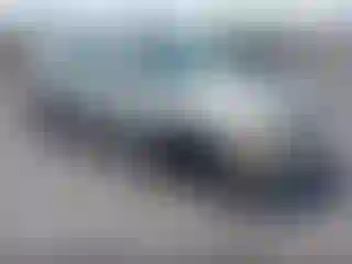 Vehicle Image- 2003 Toyota Avalon