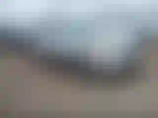 Vehicle Image- 2004 Toyota Avalon