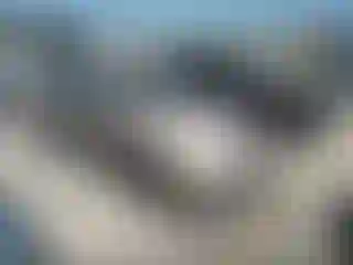 Vehicle Image- 2000 Toyota Avalon