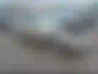 Vehicle Image- 2001 Toyota Avalon
