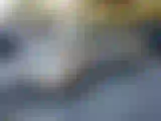 Vehicle Image- 2001 Toyota Avalon