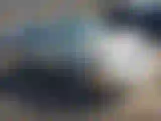 Vehicle Image- 2002 Toyota Avalon
