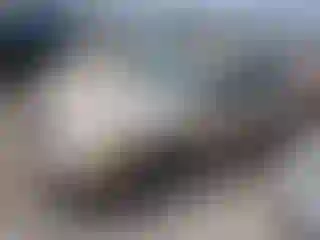Vehicle Image- 2002 Toyota Avalon