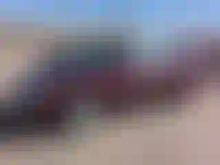 Vehicle Image- 2003 Toyota Avalon