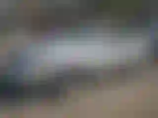 Vehicle Image- 2004 Toyota Avalon