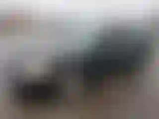 Vehicle Image- 2004 Toyota Avalon