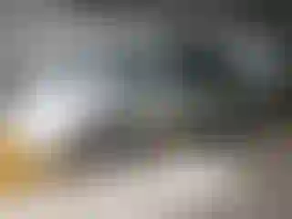 Vehicle Image- 2000 Toyota Avalon