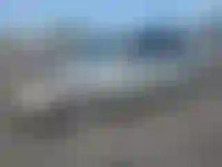 Vehicle Image- 2000 Toyota Avalon