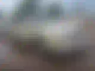 Vehicle Image- 2001 Toyota Avalon