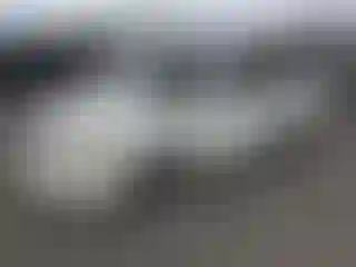Vehicle Image- 2002 Toyota Avalon