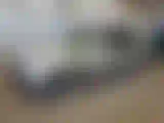Vehicle Image- 2004 Toyota Avalon