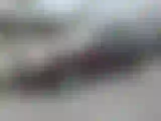 Vehicle Image- 2004 Toyota Avalon