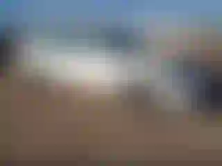 Vehicle Image- 2000 Toyota Avalon