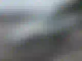 Vehicle Image- 2001 Toyota Avalon