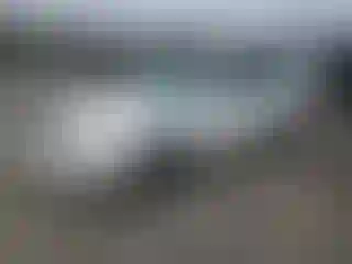 Vehicle Image- 2002 Toyota Avalon
