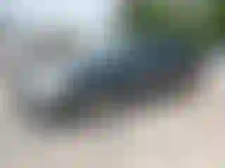 Vehicle Image- 2003 Toyota Avalon