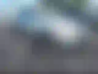 Vehicle Image- 2004 Toyota Avalon