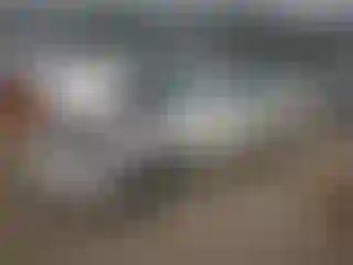 Vehicle Image- 2004 Toyota Avalon
