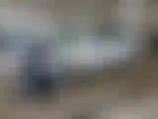 Vehicle Image- 2004 Toyota Avalon