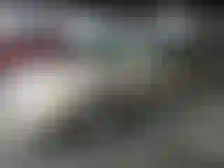 Vehicle Image- 2004 Toyota Avalon