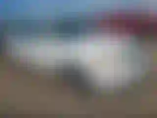 Vehicle Image- 2000 Toyota Avalon