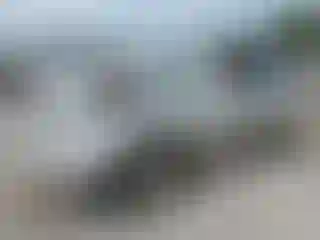 Vehicle Image- 2001 Toyota Avalon