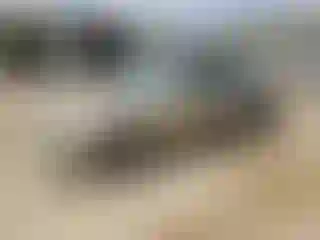 Vehicle Image- 2001 Toyota Avalon