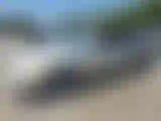 Vehicle Image- 2002 Toyota Avalon