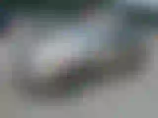 Vehicle Image- 2002 Toyota Avalon
