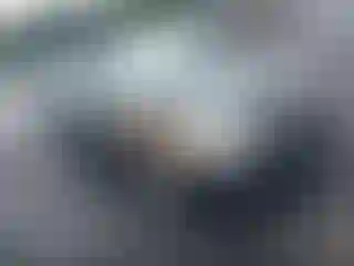 Vehicle Image- 2000 Toyota Avalon
