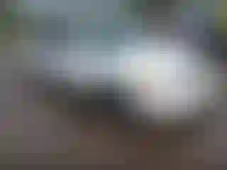 Vehicle Image- 2002 Toyota Avalon
