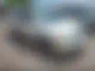 Vehicle Image- 2003 Toyota Avalon