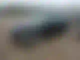 Vehicle Image- 2003 Toyota Avalon