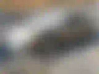 Vehicle Image- 2004 Toyota Avalon