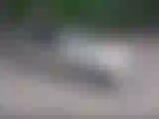 Vehicle Image- 2000 Toyota Avalon
