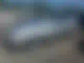 Vehicle Image- 2004 Toyota Avalon