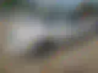 Vehicle Image- 2001 Toyota Avalon