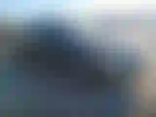 Vehicle Image- 2002 Toyota Avalon