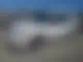 Vehicle Image- 2002 Toyota Avalon