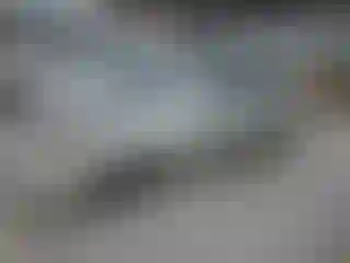 Vehicle Image- 2000 Toyota Avalon