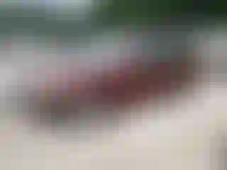 Vehicle Image- 2000 Toyota Avalon