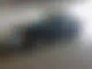 Vehicle Image- 2002 Toyota Avalon