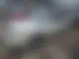 Vehicle Image- 2002 Toyota Avalon